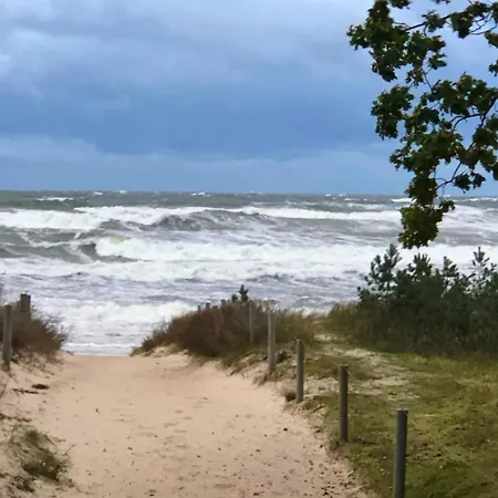 Duenenhafer 220 Baabe